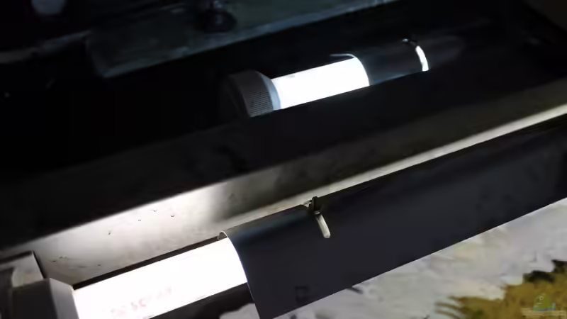 Technik im Aquarium Gesellschaft 180 von Joel-Angus (12)