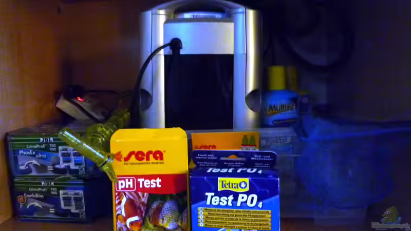 Technik im Aquarium Gesellschaftsaquarium von Todi123 (3)