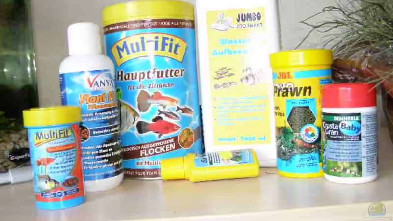 Technik im Aquarium Gesellschaftsbecken 16157 von SeLo (12)