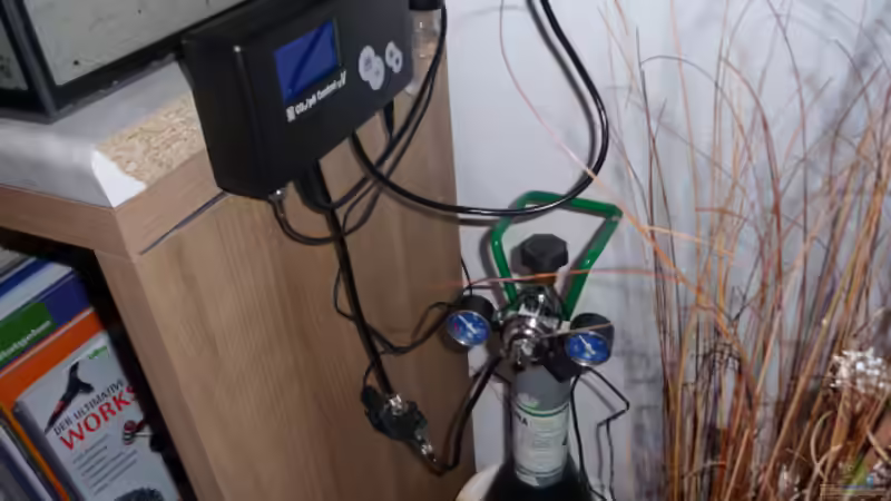 Technik im Aquarium Gesellschaftsbecken Amazonas/Kongo von Hot Chili (12)