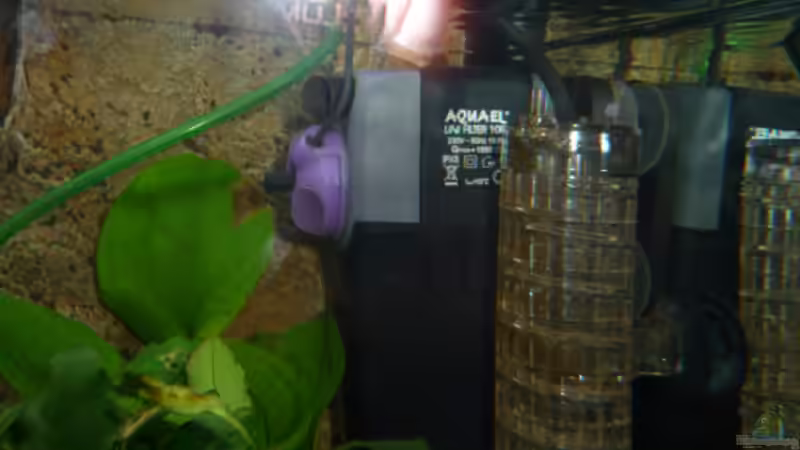 Technik im Aquarium Gesellschaftsbecken Amazonas/Kongo von Hot Chili (13)