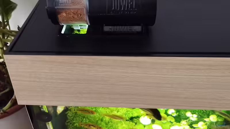 Technik im Aquarium Gesellschaftsbecken Süd Ost Asien von Thomas Kreuter (31)