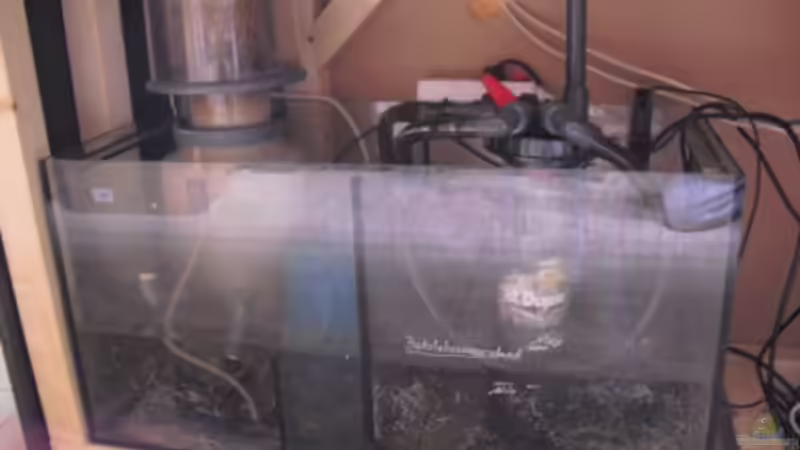 Technik im Aquarium Gesellschaftsbecken von Madoxl (22)