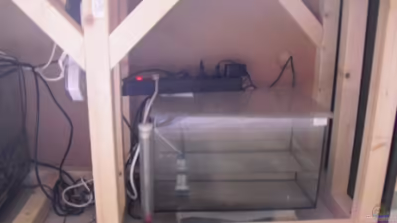 Technik im Aquarium Gesellschaftsbecken von Madoxl (23)