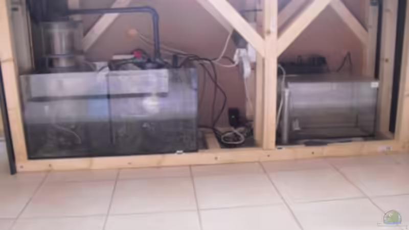 Technik im Aquarium Gesellschaftsbecken von Madoxl (25)