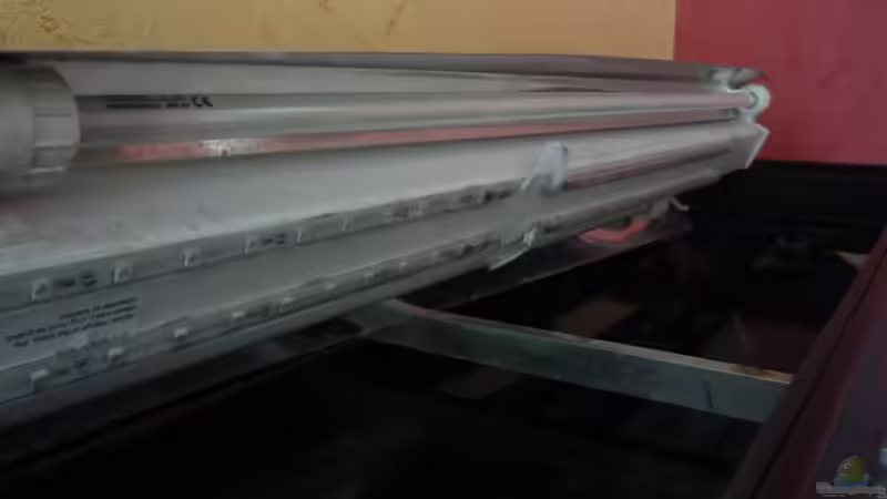 Technik im Aquarium Gesellschaftsbecken von Ralf Kottmeier (38)