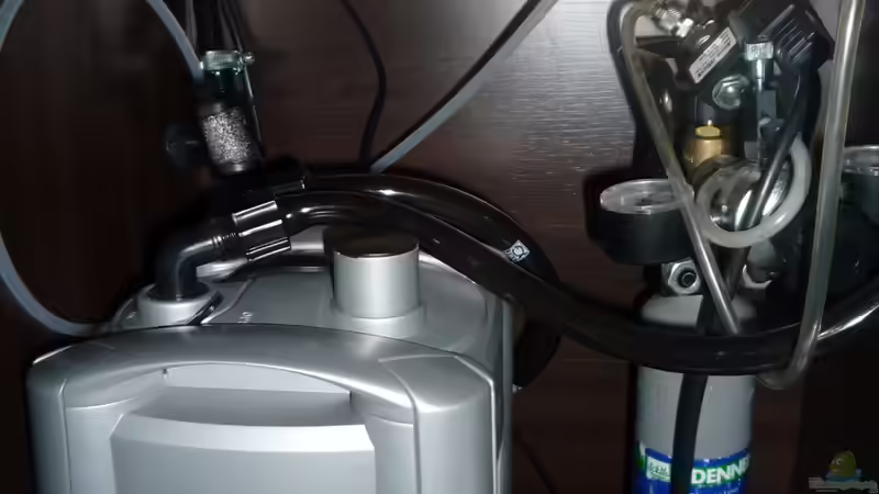 Technik im Aquarium Gesellschaftsbecken von Ralf Kottmeier (40)