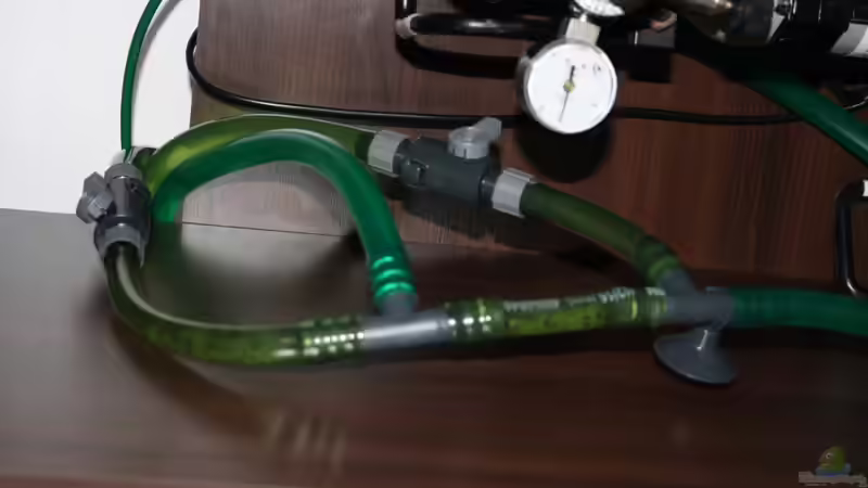 Technik im Aquarium Gesellschaftsbeckern von Marcel Becker (10)