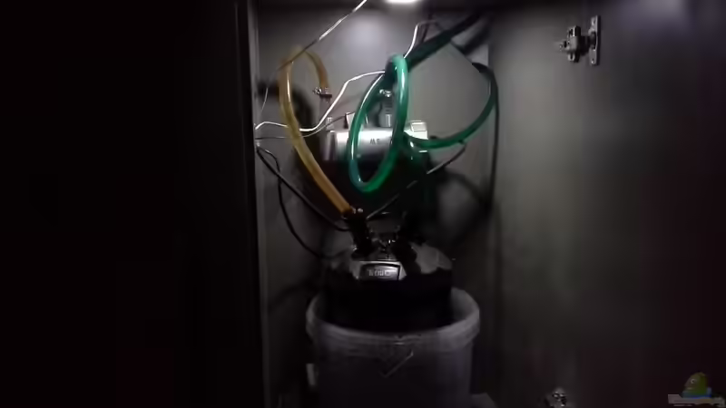 Technik im Aquarium Gibt es nicht mehr. von Dominik Wexenberger (23)