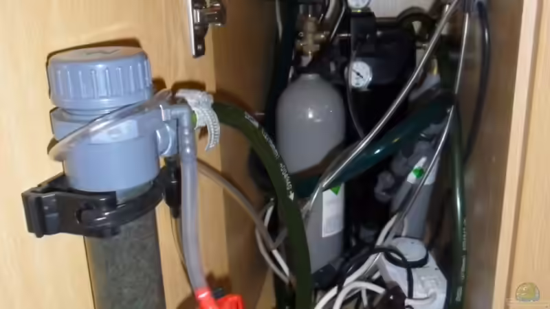 Technik im Aquarium Görlitzer Wasser von kleines becken (29)