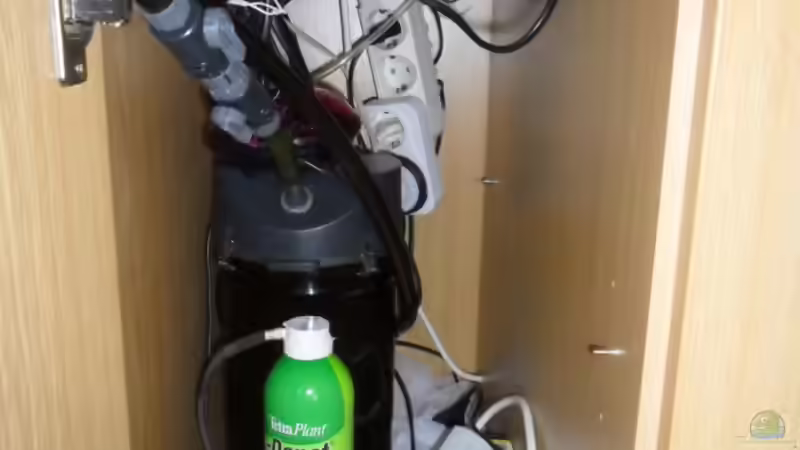 Technik im Aquarium Görlitzer Wasser von kleines becken (31)