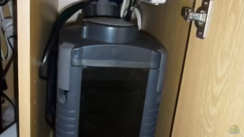 Technik im Aquarium Görlitzer Wasser von kleines becken (32)