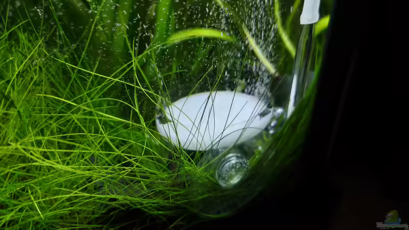 Technik im Aquarium Green Caves von Radi87 (14)