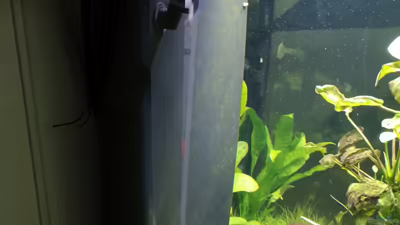 Technik im Aquarium Green Caves von Radi87 (15)