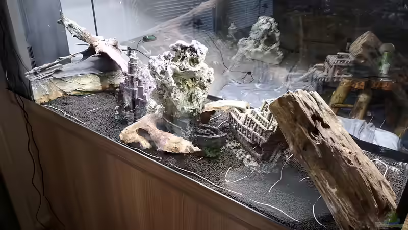 Technik im Aquarium Green Caves von Radi87 (17)