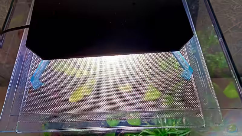 Technik im Aquarium Green Cube von Junglist (14)