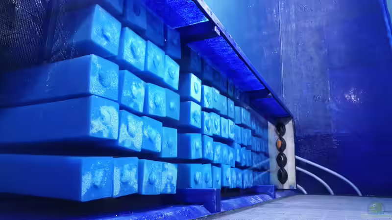 Technik im Aquarium Großaquarium in Bayern von Fido86 (7)