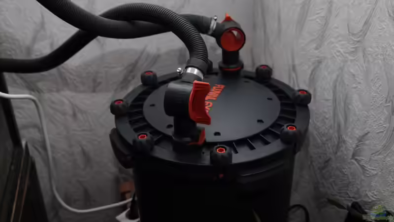 Technik im Aquarium Großcichliden Afrikas von Stanislav Kislyuk (10)