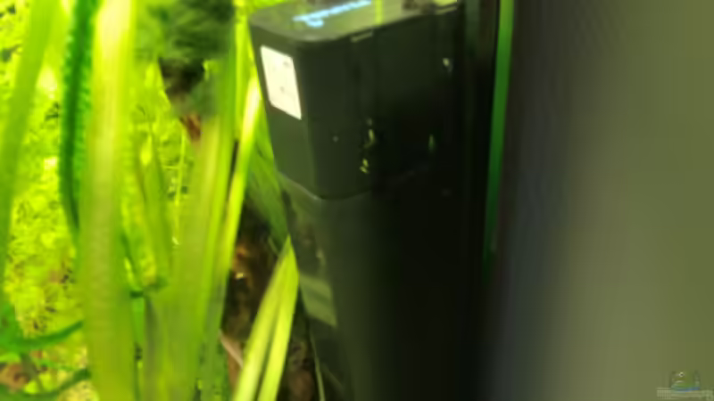Technik im Aquarium Grüne Oase existiert nur noch als Beispiel von Josef Braun (17)