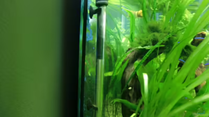 Technik im Aquarium Grüne Oase existiert nur noch als Beispiel von Josef Braun (18)