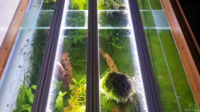 Technik im Aquarium Grüne Wiese von Marcel Reiter (25)