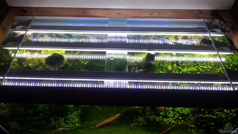 Technik im Aquarium Grüne Wiese von Marcel Reiter (26)