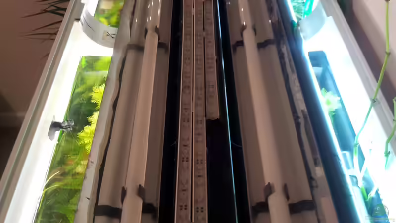 Technik im Aquarium Grüner Dschungel von Liquid (40)