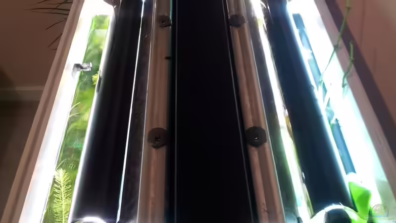 Technik im Aquarium Grüner Dschungel von Liquid (41)