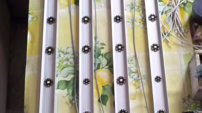 Technik im Aquarium Grüner Dschungel von Liquid (42)