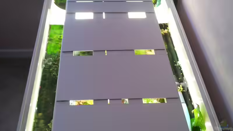 Technik im Aquarium Grüner Dschungel von Liquid (45)