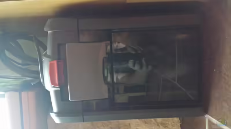 Technik im Aquarium GRÜNER VERSUCH von schilli (49)