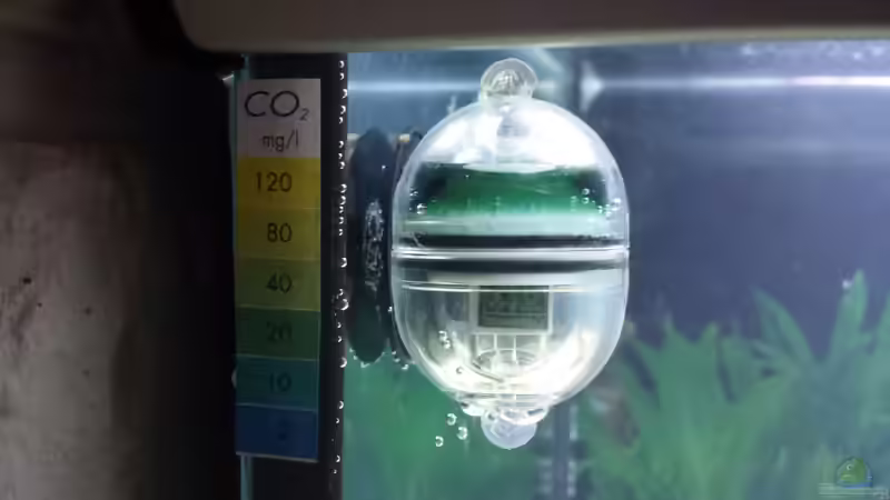 Technik im Aquarium GRÜNER VERSUCH von schilli (50)