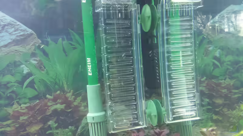 Technik im Aquarium GRÜNER VERSUCH von schilli (51)