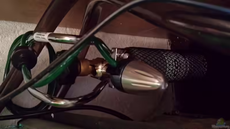 Technik im Aquarium GRÜNER VERSUCH von schilli (52)