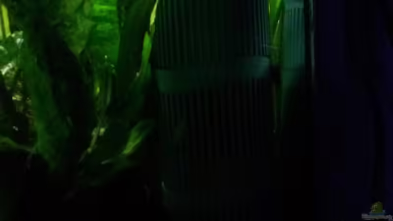 Technik im Aquarium Guppybecken (aufgelöst) von ~Danny~ (3)