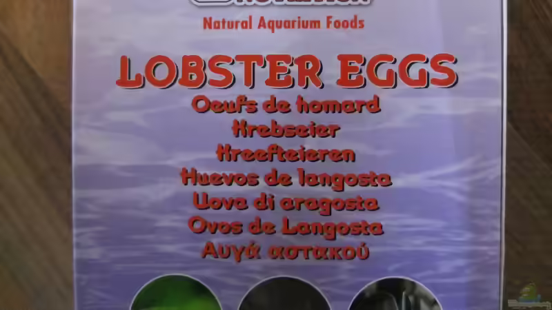 Technik im Aquarium Guppytraum (Nur noch als Beispiel) von axolotl (38)