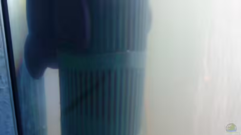 Technik im Aquarium Hauptbecken von TheLegacy94 (8)