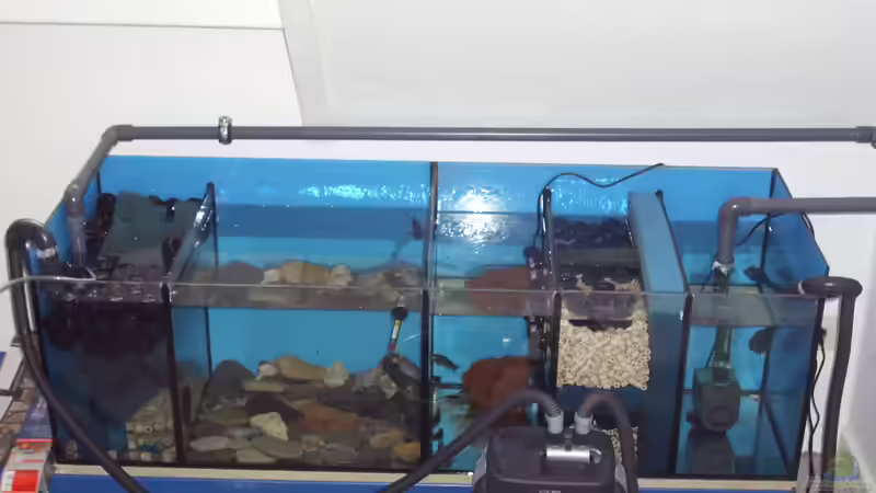 Technik im Aquarium Herzinfarktrisikosenker II von Niklot (10)