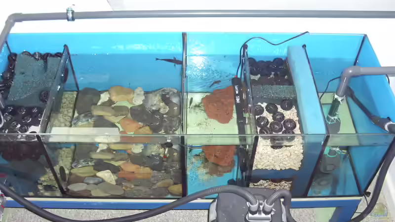 Technik im Aquarium Herzinfarktrisikosenker II von Niklot (9)