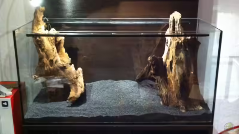 Technik im Aquarium Hoan Kiem von Zapa (14)