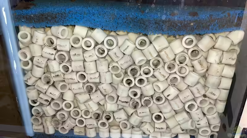 Technik im Aquarium HoChbaCh Amazonas von Corvatsch (13)