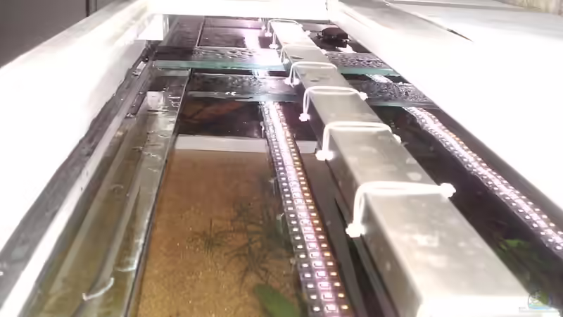 Technik im Aquarium Home sweet home von Tommy Schubert (18)