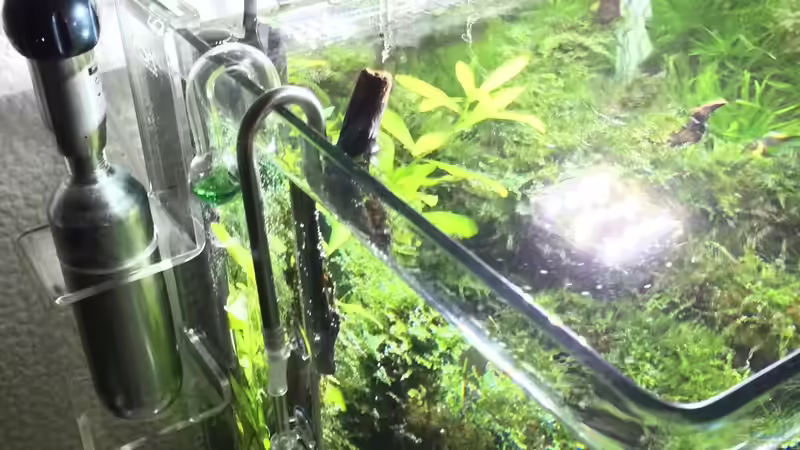 Technik im Aquarium i love leaves ! von Ayahuasca (134)