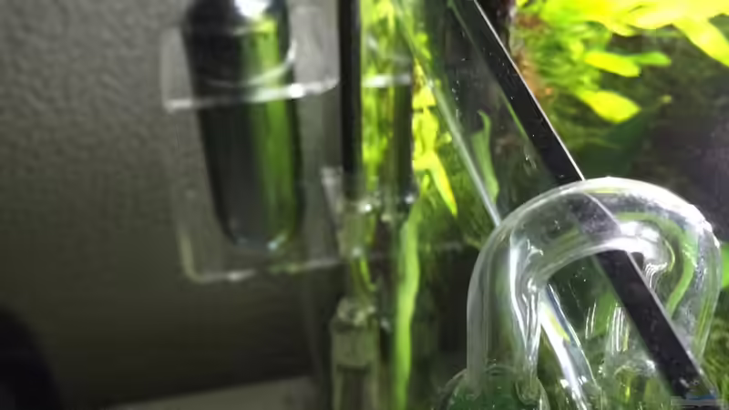 Technik im Aquarium i love leaves ! von Ayahuasca (138)