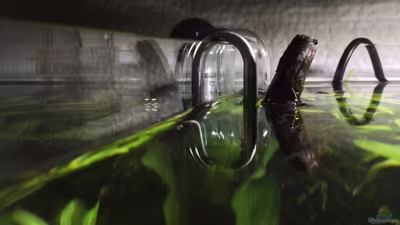 Technik im Aquarium i love leaves ! von Ayahuasca (143)