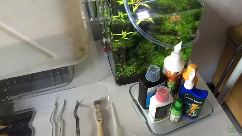 Technik im Aquarium i love leaves ! von Ayahuasca (144)