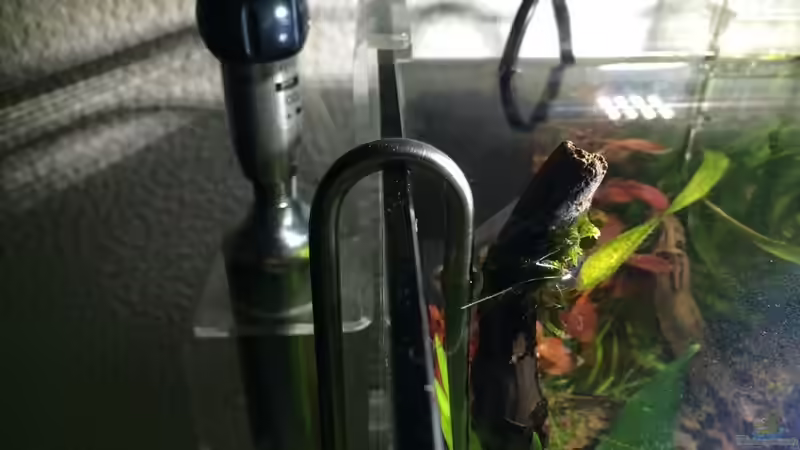 Technik im Aquarium i love leaves ! von Ayahuasca (145)