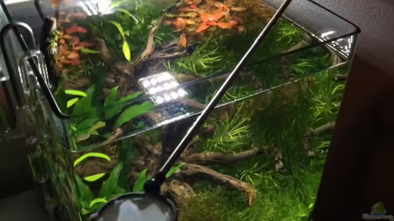 Technik im Aquarium i love leaves ! von Ayahuasca (147)