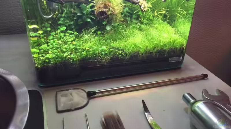 Technik im Aquarium i love leaves ! von Ayahuasca (149)