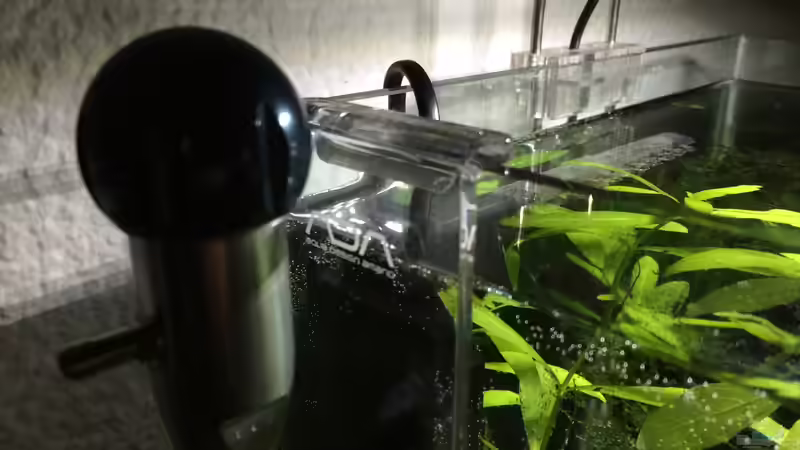 Technik im Aquarium i love leaves ! von Ayahuasca (163)